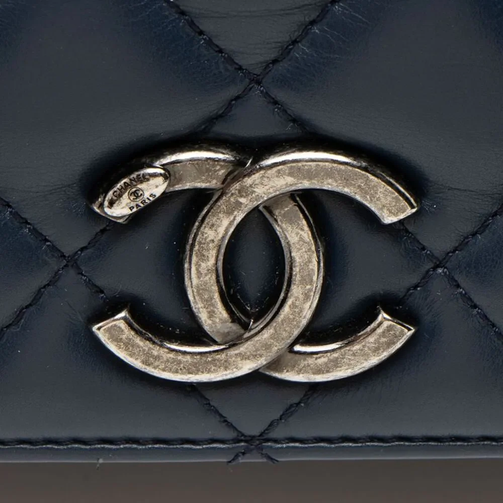 Chanel Lambskin Ballerine Medium Flap Bag